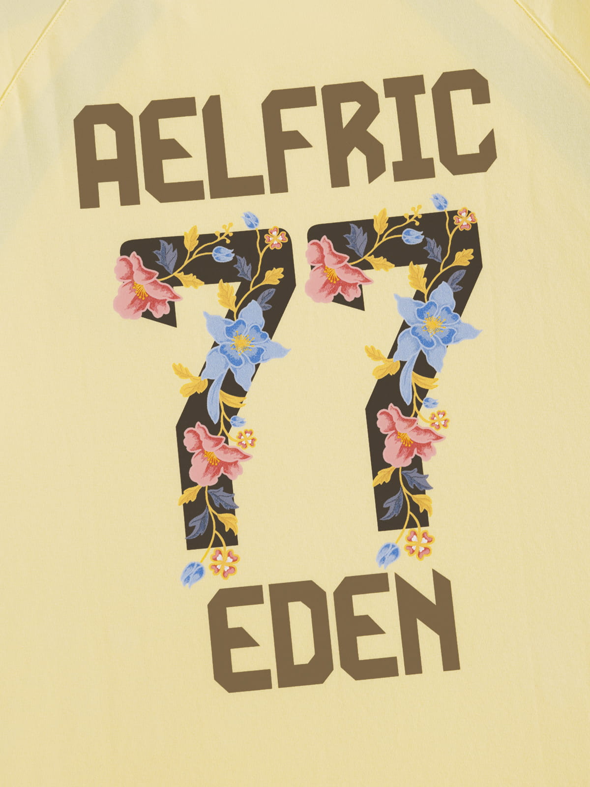 Aelfric Eden Contrast Panel Tee
