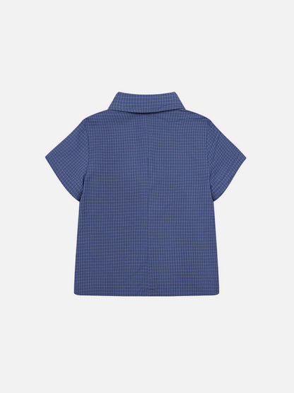 Aelfric Eden Button Plaid Short Sleeve Shirt