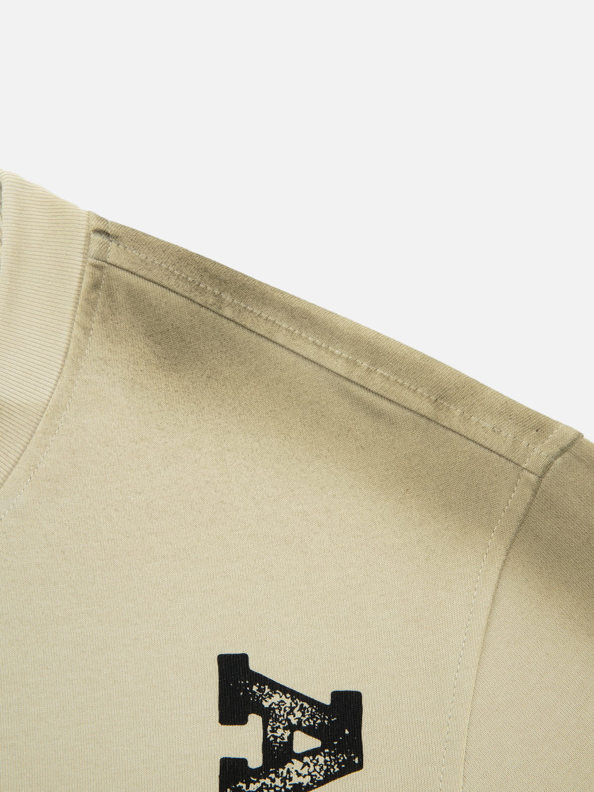 Aelfric Eden Distressed Graphic Tee